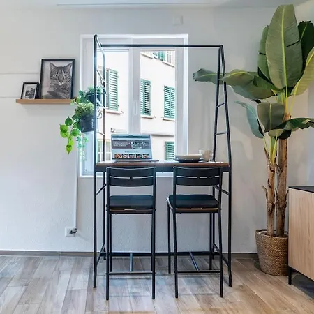 Apartment Modernes Im Zentrum Zurich